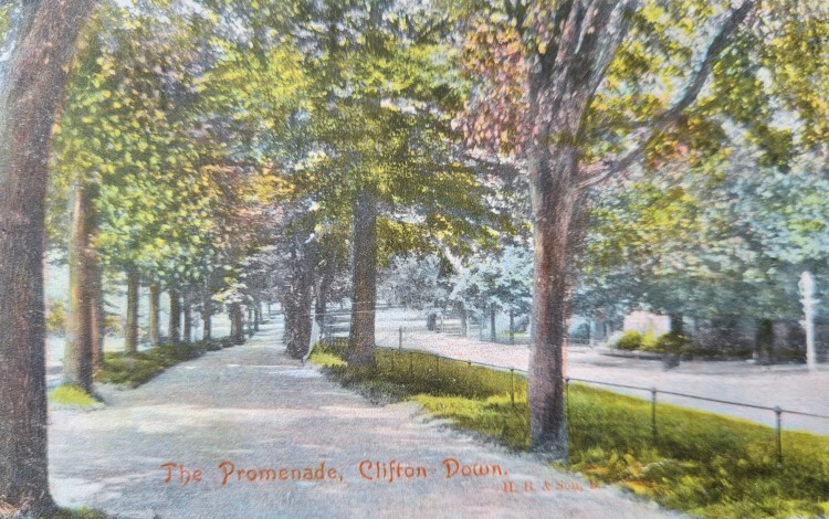 This image has an empty alt attribute; its file name is 20210807_141635-1.jpg